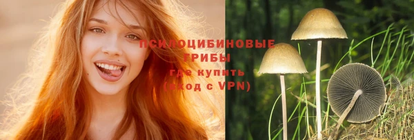 МДМА Сясьстрой