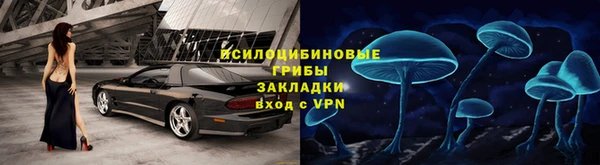 трава Почеп